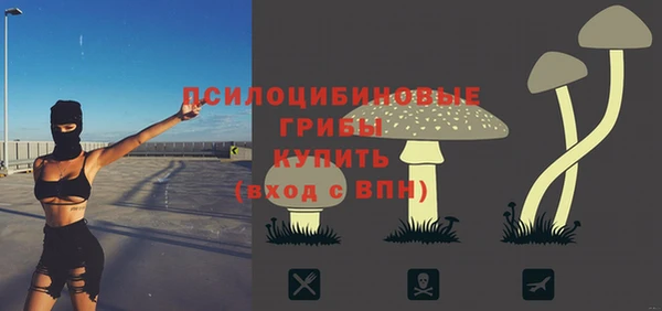кристаллы Вяземский