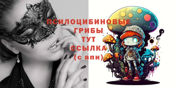 герыч Вязьма