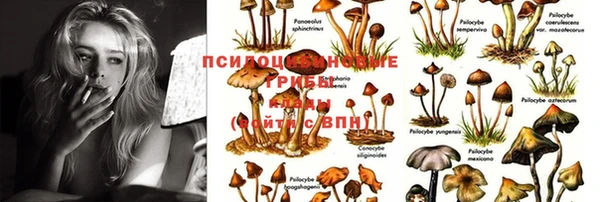 круглые Горняк