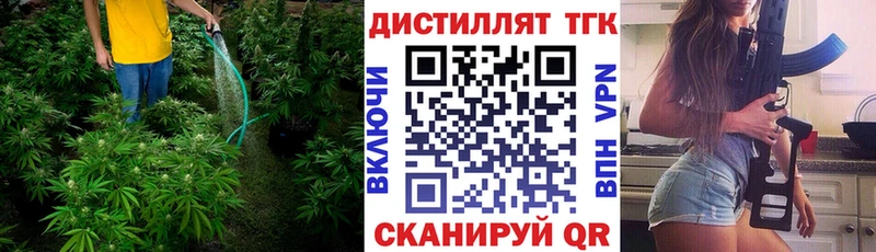 ТГК THC oil  Купить  Инсар 