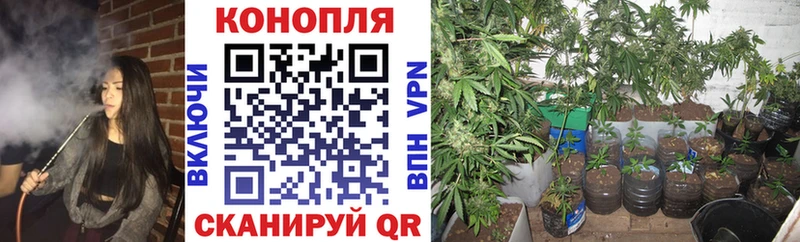Купить где  Инсар  Бошки марихуана индика 